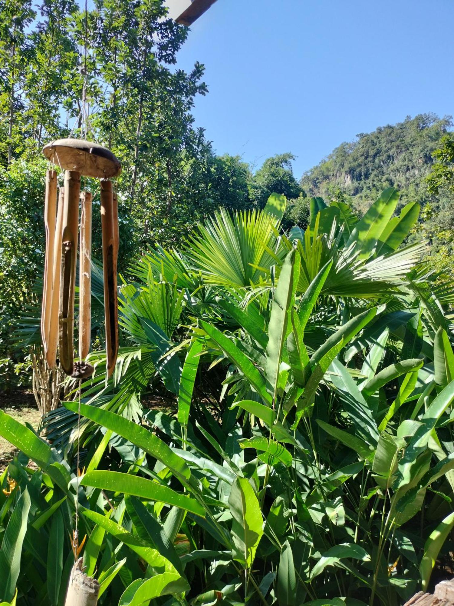 Pencave Homestay Pang Mapha Pokój zdjęcie